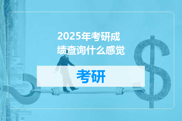 2025年考研成绩查询什么感觉