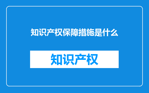 知识产权保障措施是什么