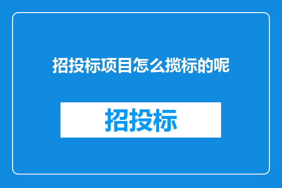 招投标项目怎么揽标的呢