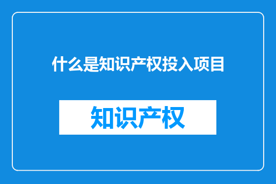 什么是知识产权投入项目