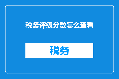 税务评级分数怎么查看