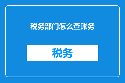 税务部门怎么查账务