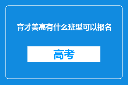 育才美高有什么班型可以报名