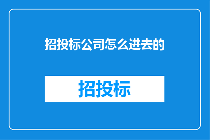 招投标公司怎么进去的