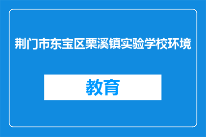 荆门市东宝区栗溪镇实验学校环境