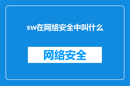 sw在网络安全中叫什么(SW在网络安全中叫什么？)