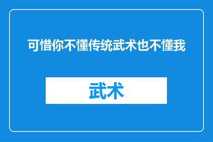 可惜你不懂传统武术也不懂我(你为何不懂传统武术，又怎能理解我？)