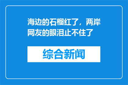 海边的石榴红了，两岸网友的眼泪止不住了